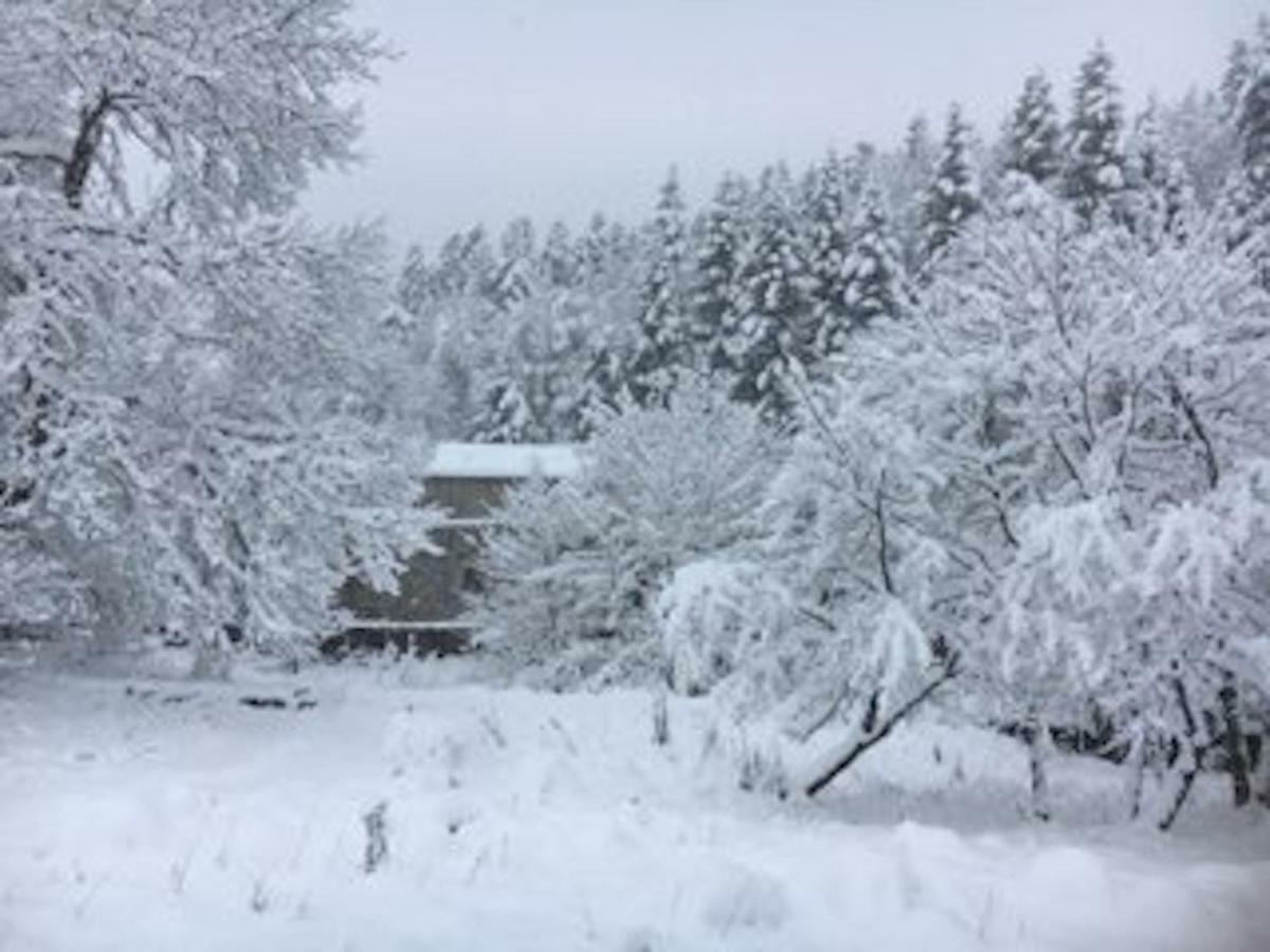 Maison En Ardeche Usclades-et-Rieutord 外观 照片